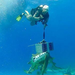 Meet your Posher, Mike